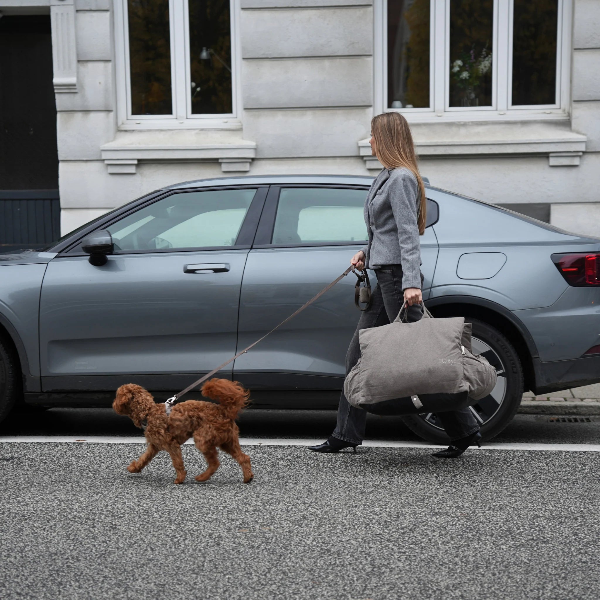 Hundeautositz Lara Taupe 2.0