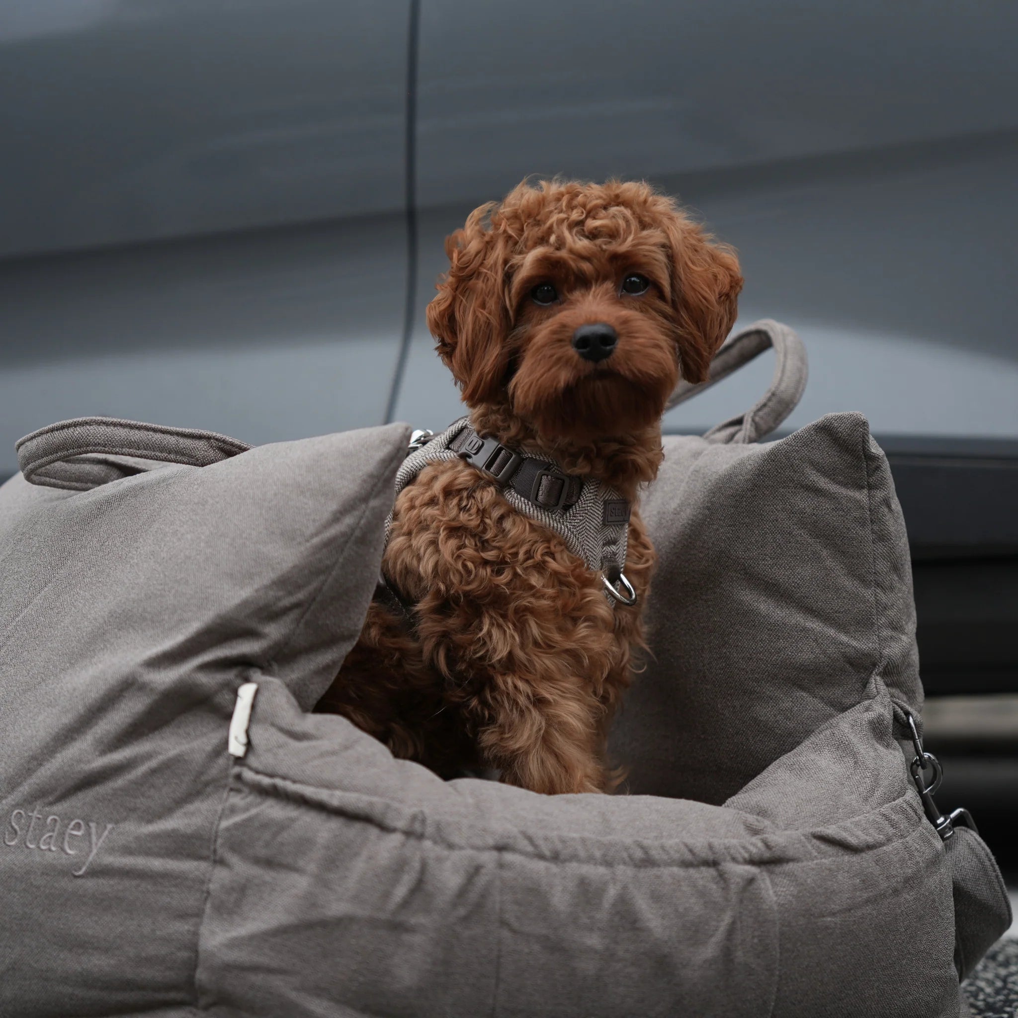 Hundeautositz Lara Taupe 2.0