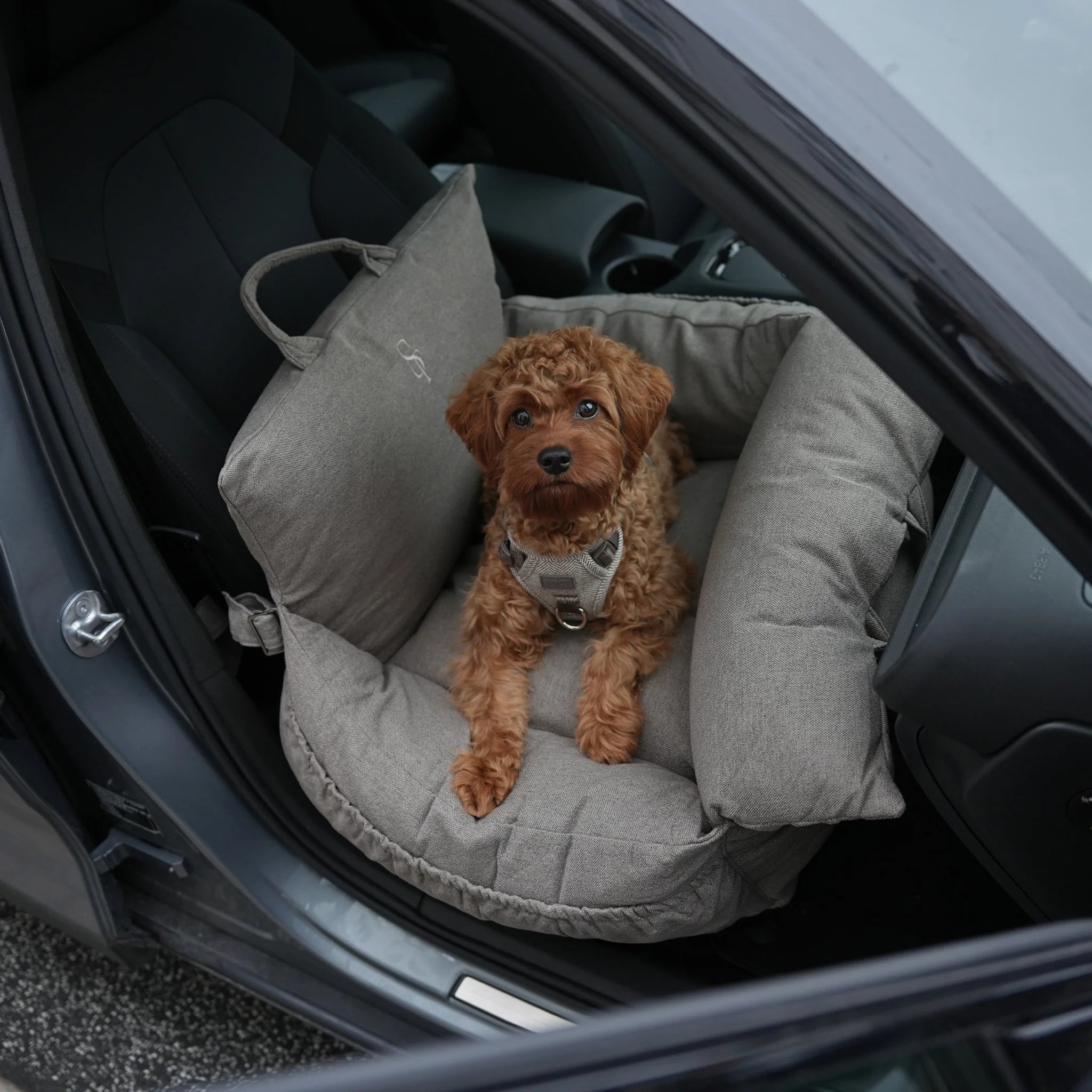 Hundeautositz Lara Taupe 2.0