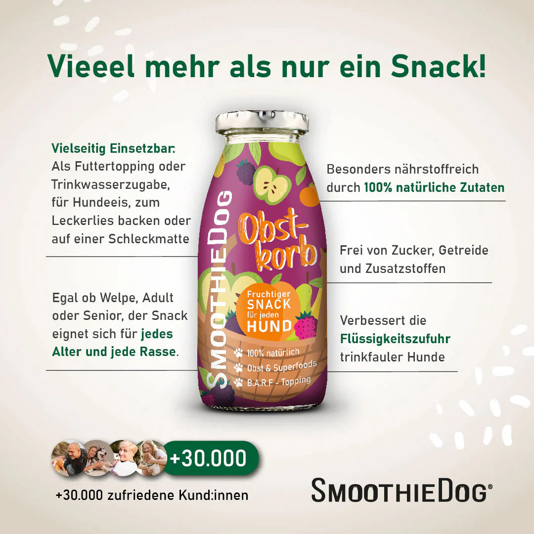 Hundesmoothie Obstkorb