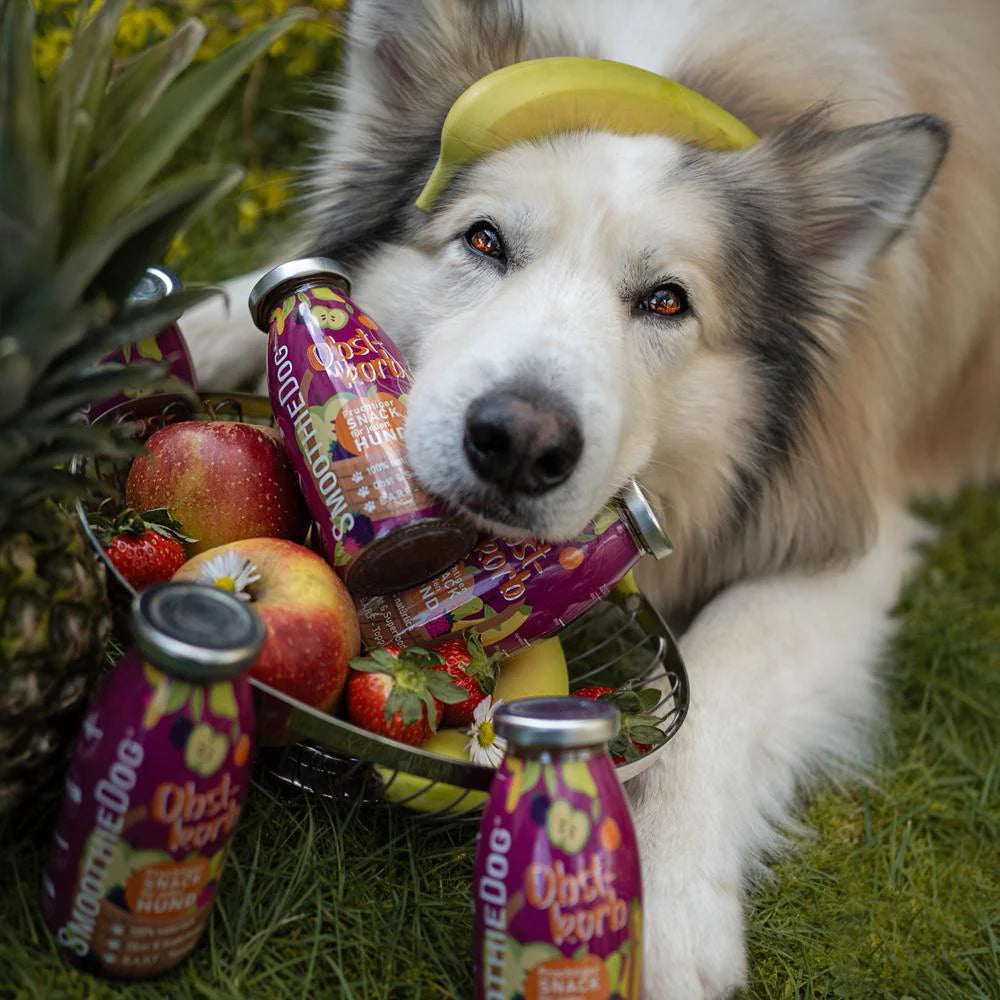 Hundesmoothie Obstkorb