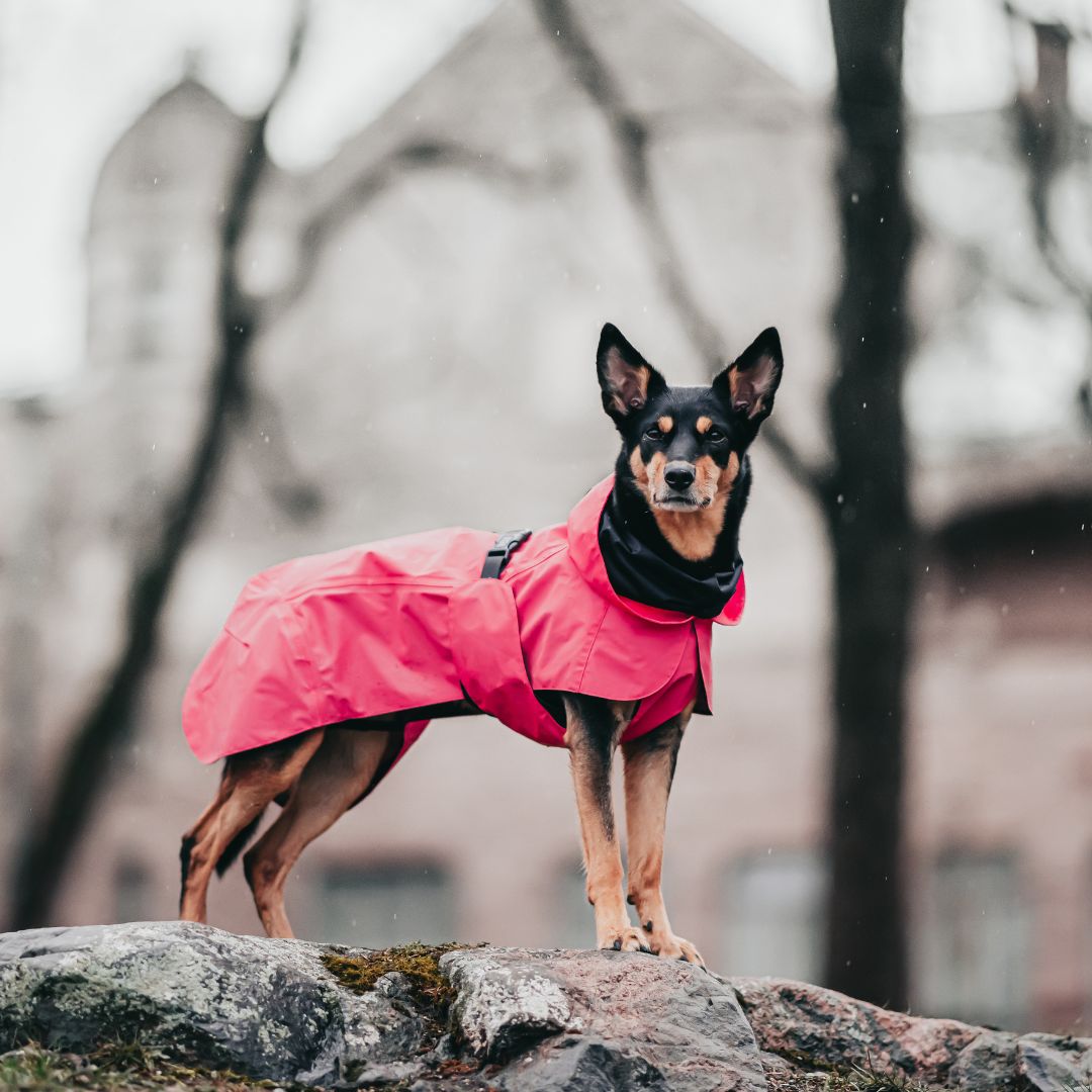 Vollreflektierender Hunderegenmantel Lite Hot Pink