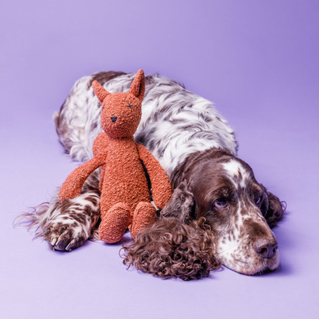 Lillabel-Hundespielzeug-Lea-Eichhörnchen-Hund2