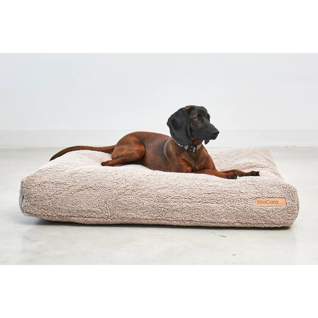 MiaCara-Hundekissen-Senso-Greige-Hund2