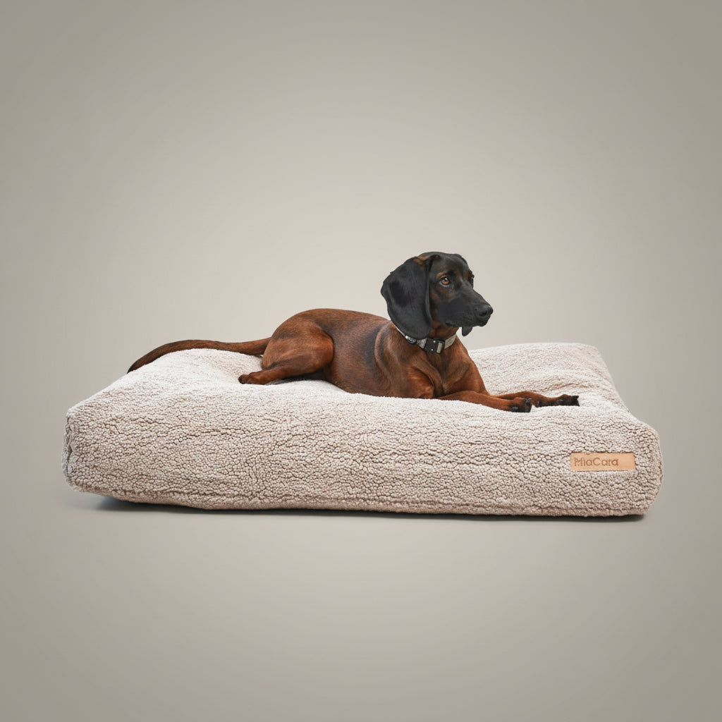 MiaCara-Hundekissen-Senso-Greige-Hund2