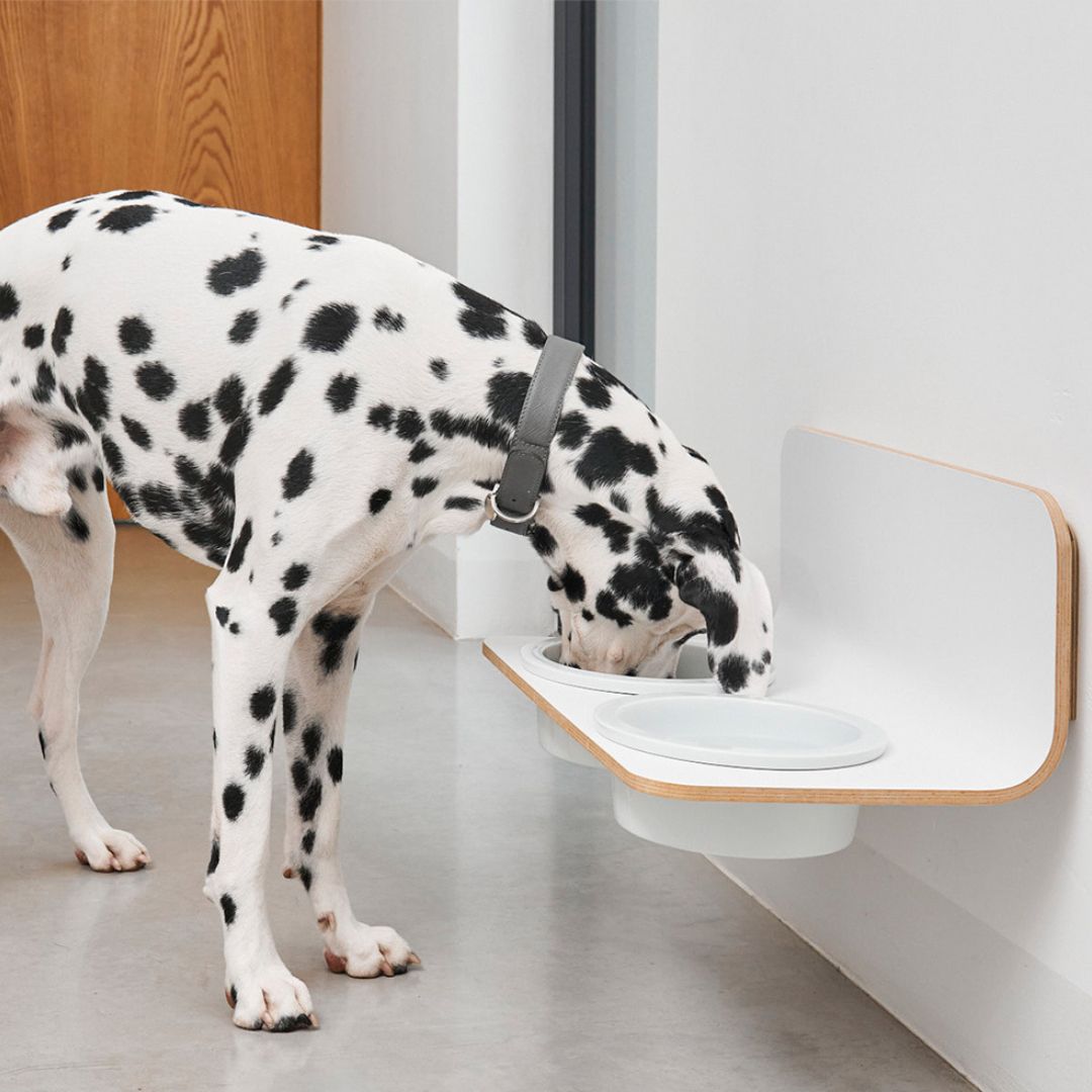 MiaCara-Arco-Napfhalter-Weiß-Porzellannäpfe-Hund2