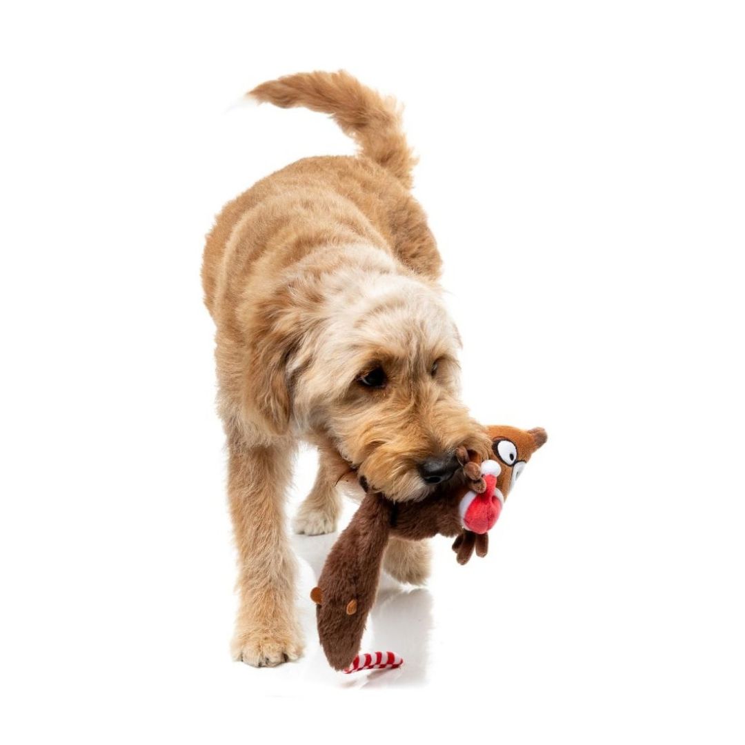 Hundespielzeug Run Away Reindeer