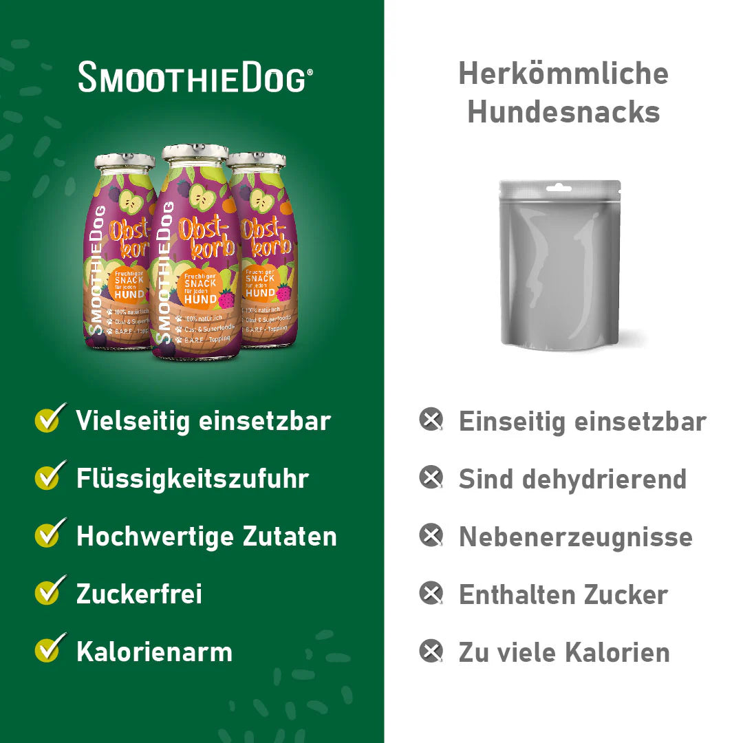 Hundesmoothie Obstkorb