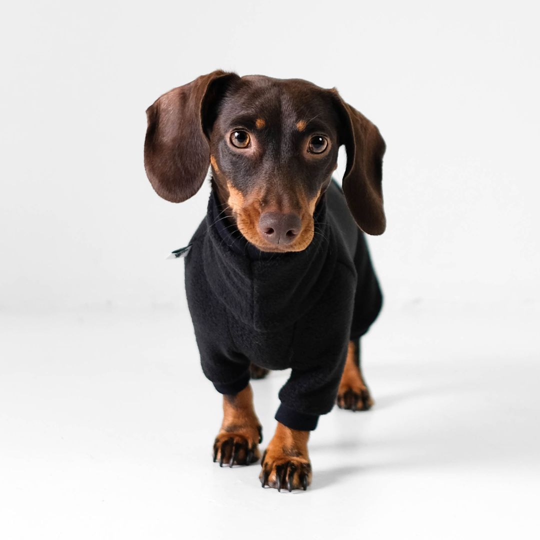 Karma-Hund-Polar-Fleece-Overall-Dackel-Schwarz