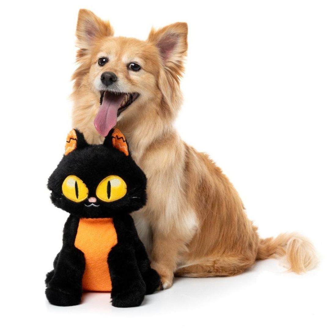 Hundespielzeug Halloween Purrsephone