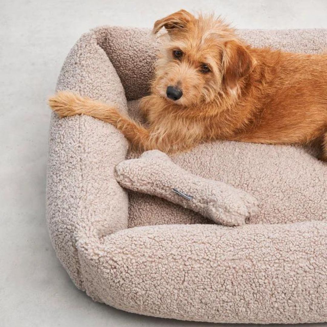 Senso Hundebett Greige