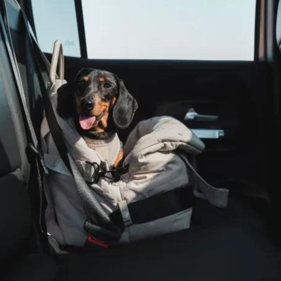Autositz & Hundetasche Slate Grey