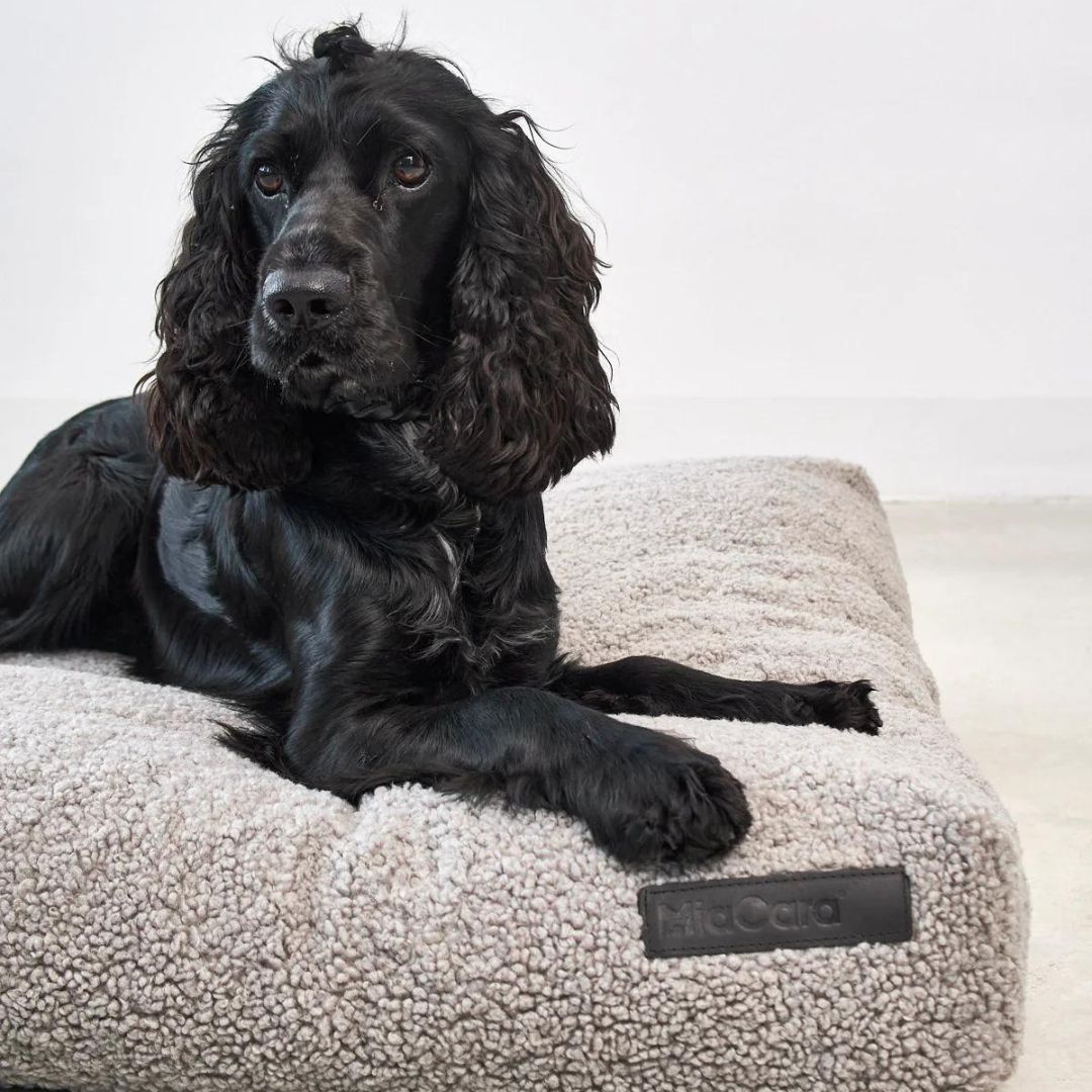 MiaCara-Hundekissen-Senso-Kiesel-Hund3
