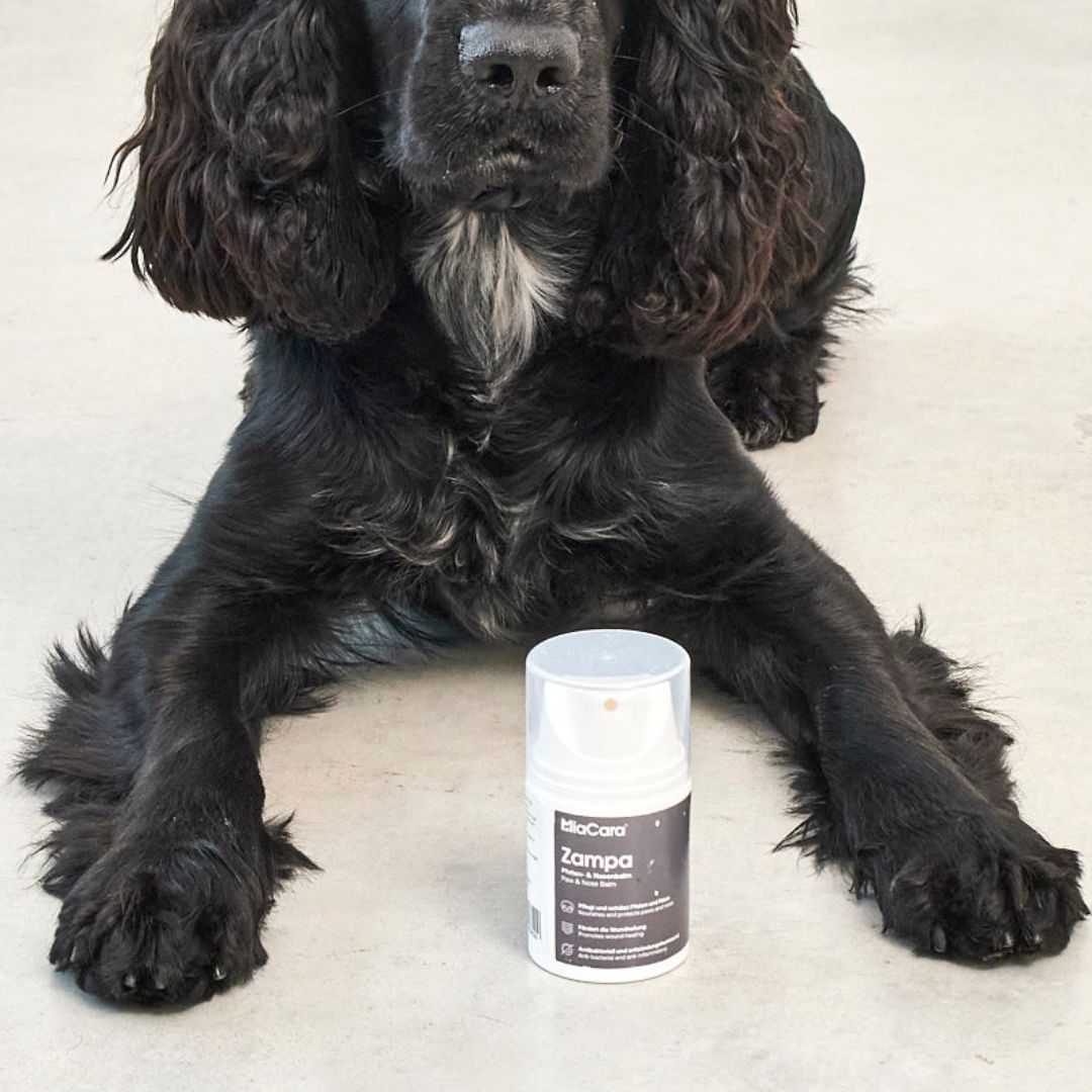 Natürlicher Schutzhund für Pfoten und trockene Nase Auna For Fauna 30 ml
