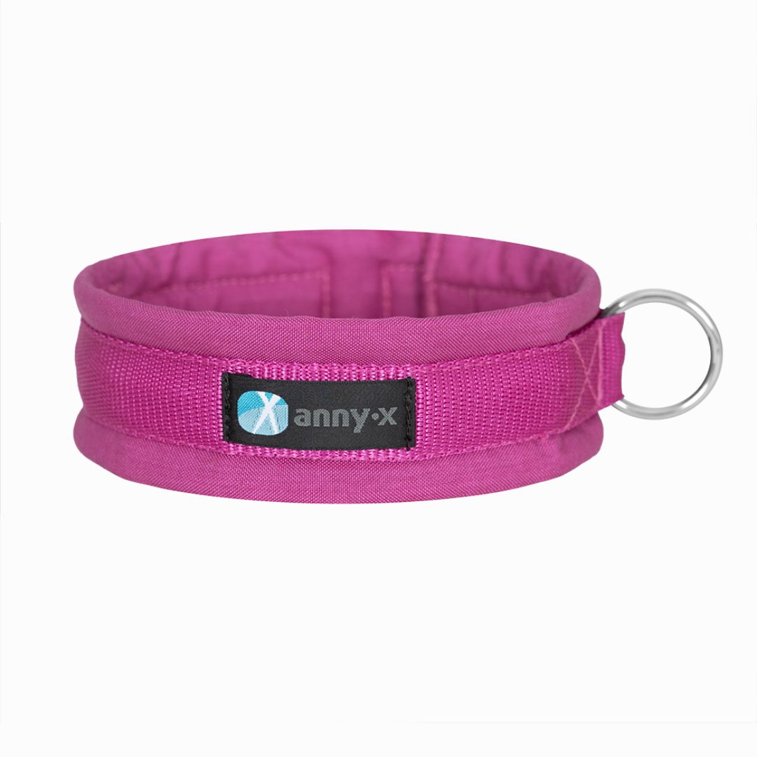Annyx-Steckhalsband-Hundehalsband-Sonnenhut