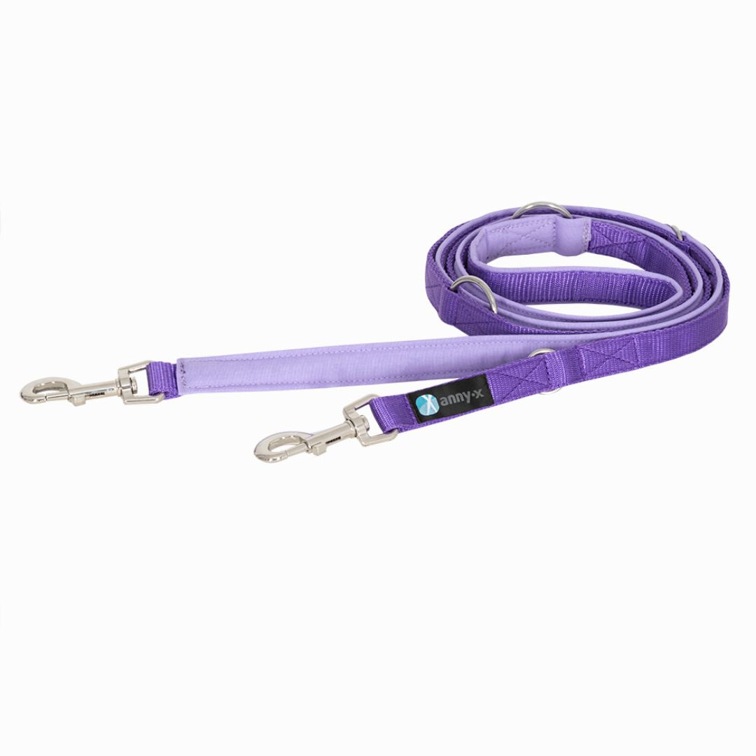 AnnyX-Hundeleine-Führleine-Classic-Bolt-Fun-Lavendel