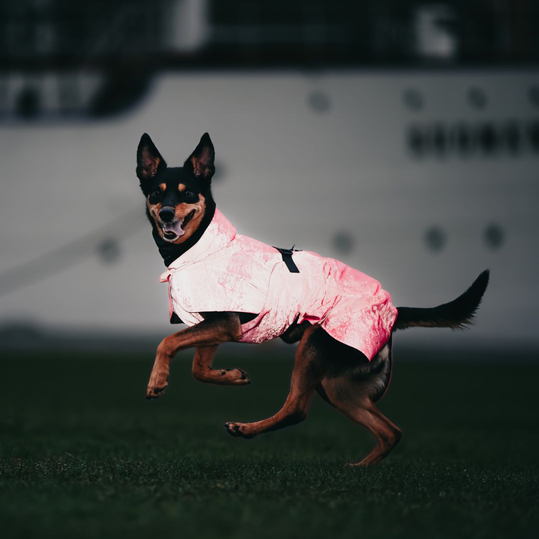 Vollreflektierender Hunderegenmantel Lite Hot Pink