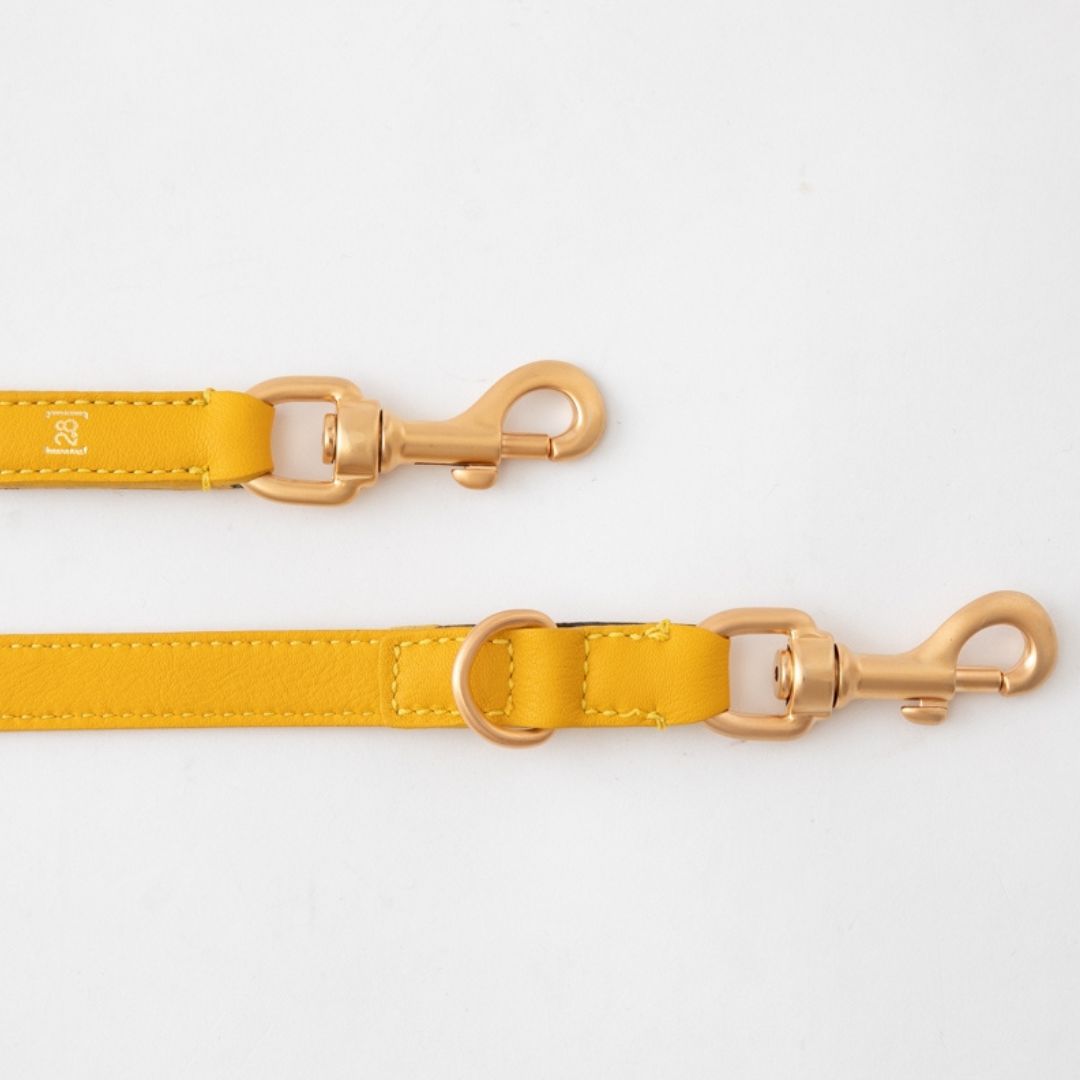 Führleine Mario Tuscan Yellow