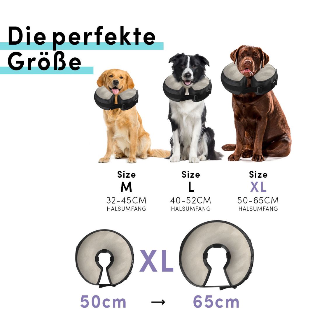 Stuch-Halskrause-Grau-XL