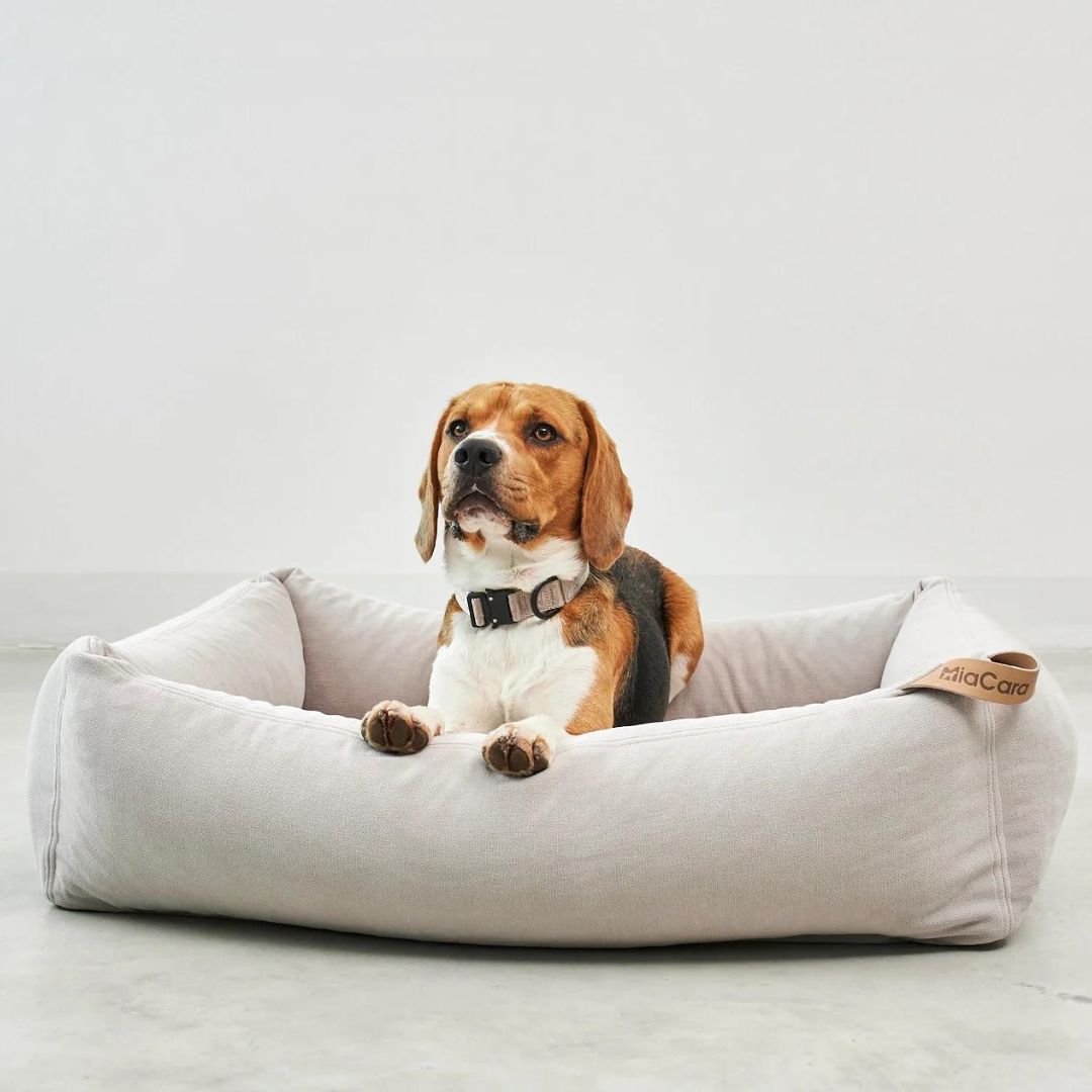 MiaCara-Hundebett-Comodo-Greige-Hund