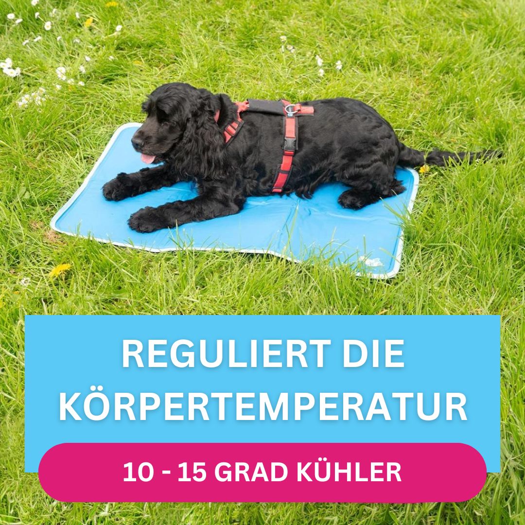 CoolPets-Premium-Gel-Hundekühlmatte-Mood