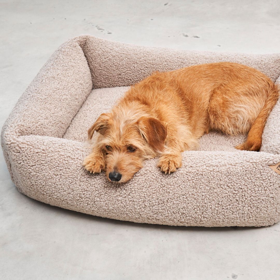 Senso Hundebett Greige