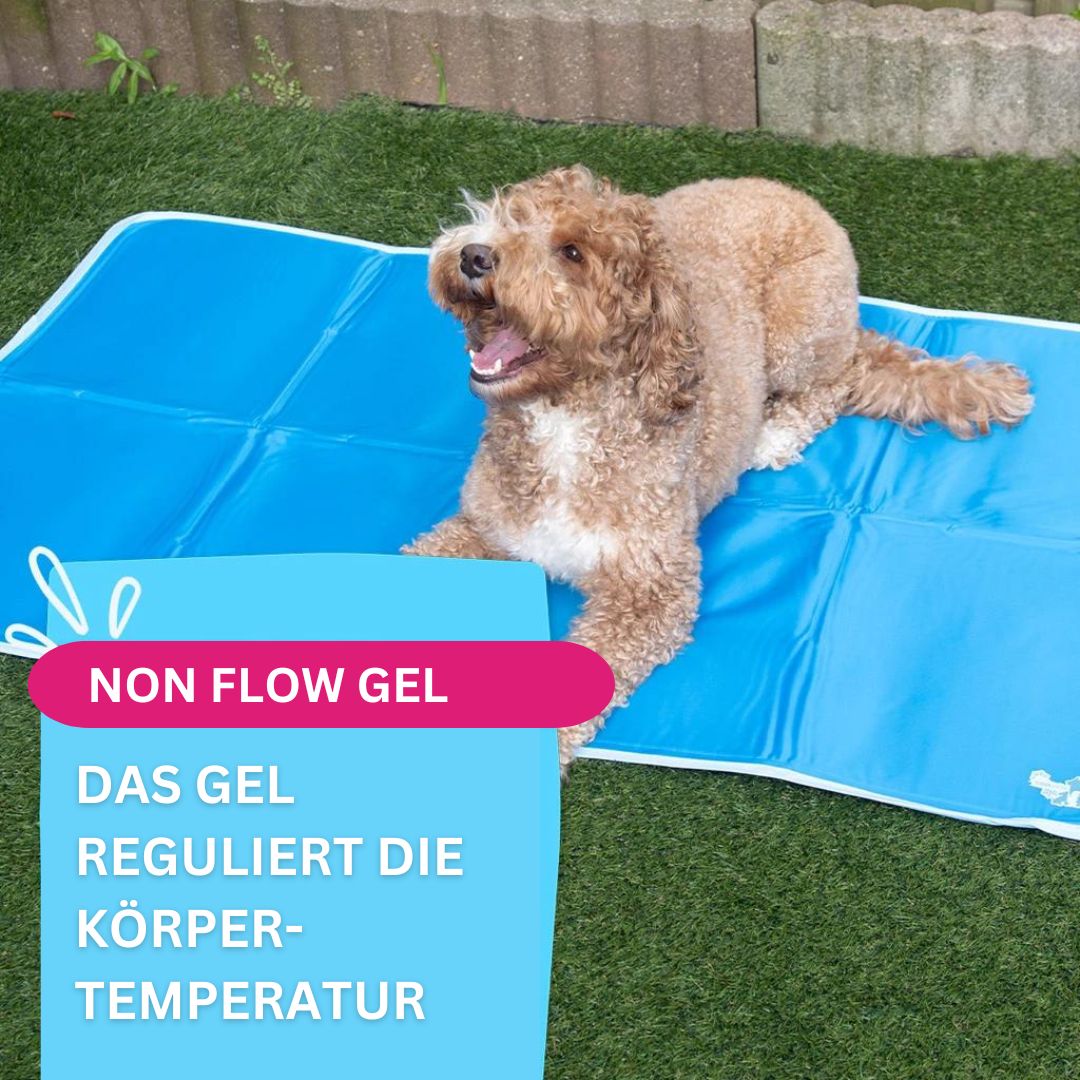 CoolPets-Premium-Gel-Hundekühlmatte-Gel