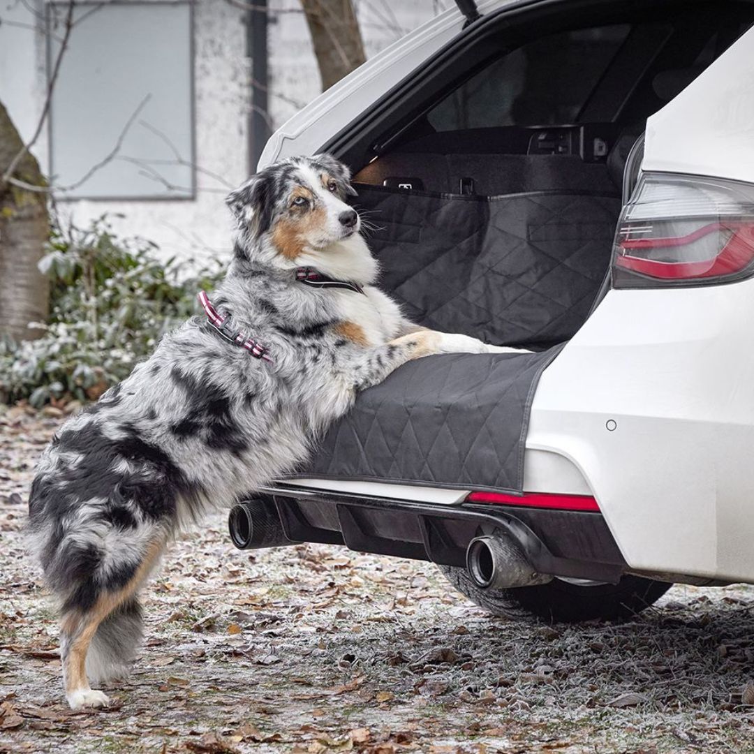 Wolters-Clean-Car-Kofferraumdecke-Einstieg