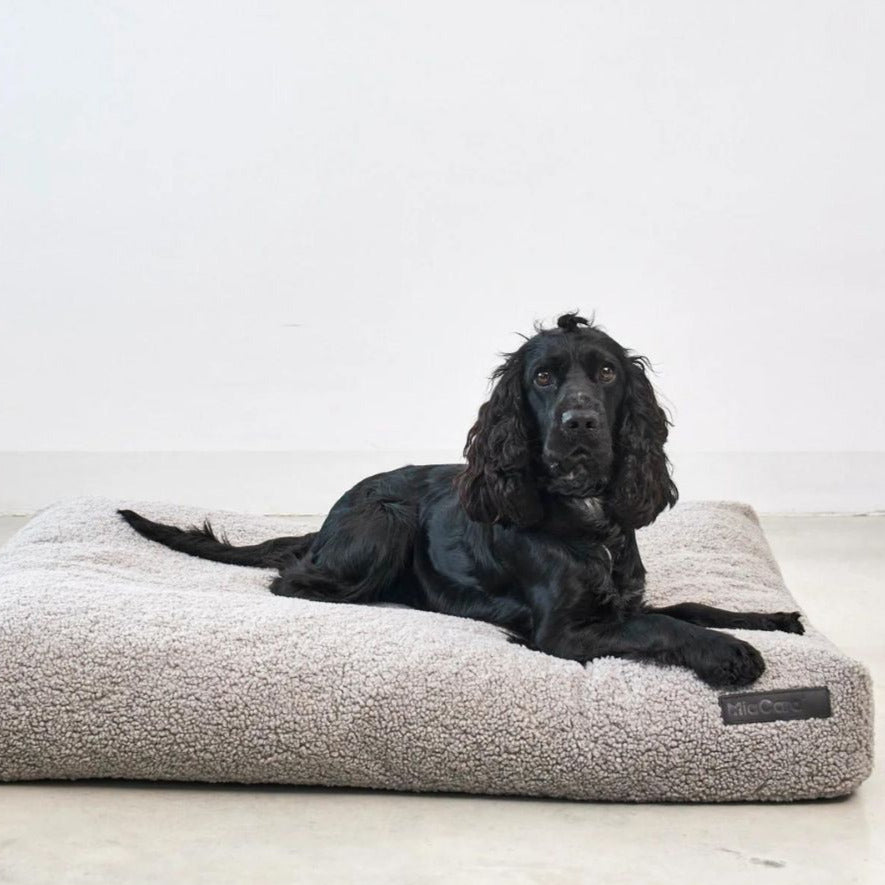 MiaCara-Hundekissen-Senso-Kiesel-Hund