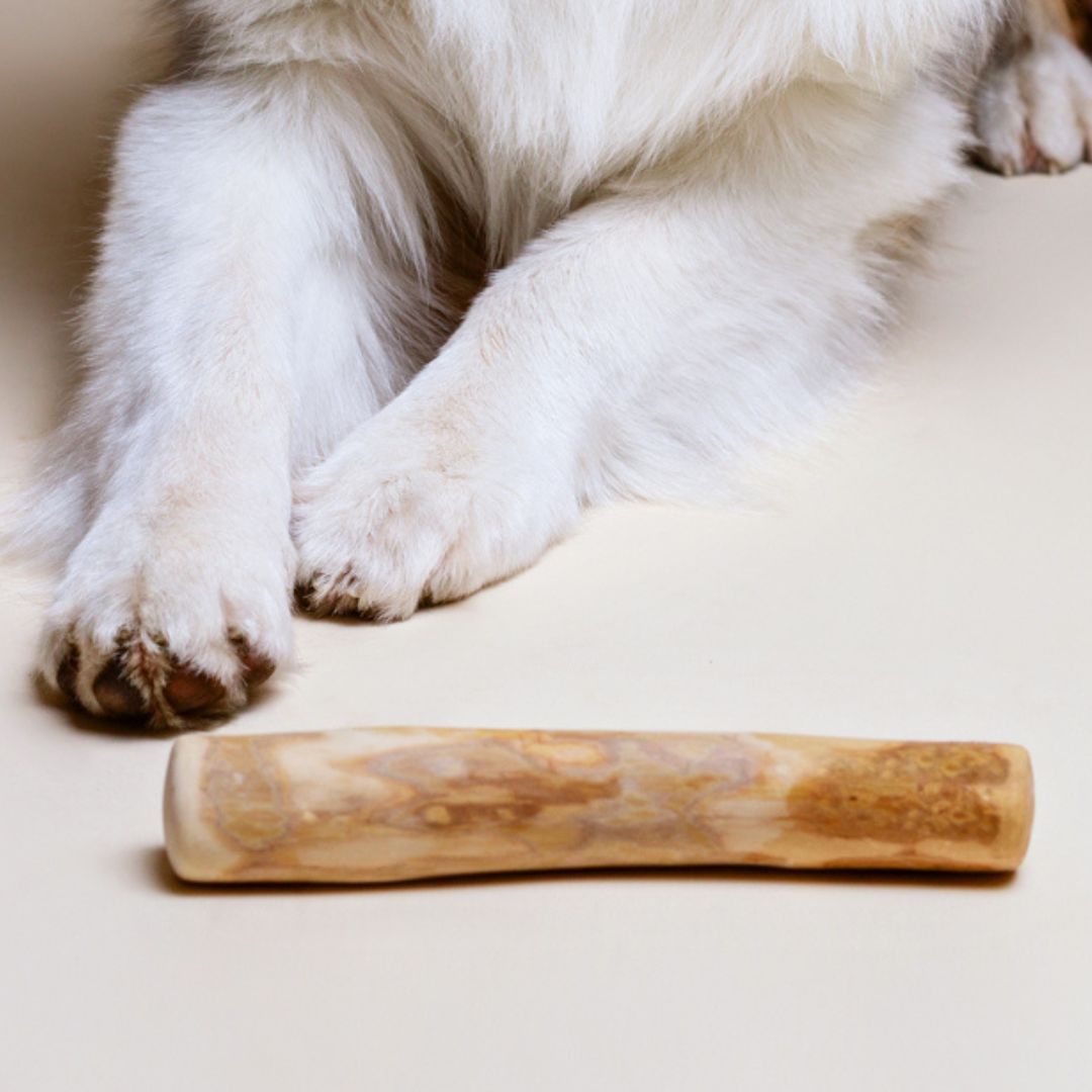 Lillabel-Kaffeeholz-Kaustick-Hund-Holz