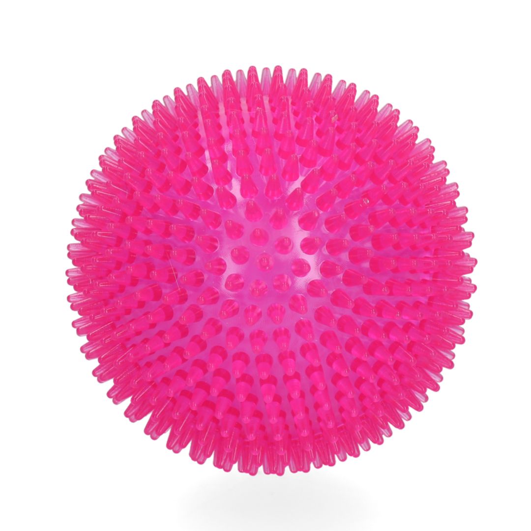 Dog-Comets-Exoplanet-Ball-Pink-L