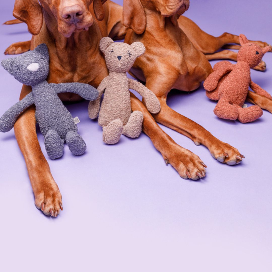 Lillabel-Hundespielzeug-Lea-Eichhörnchen-Bär-Katze-2
