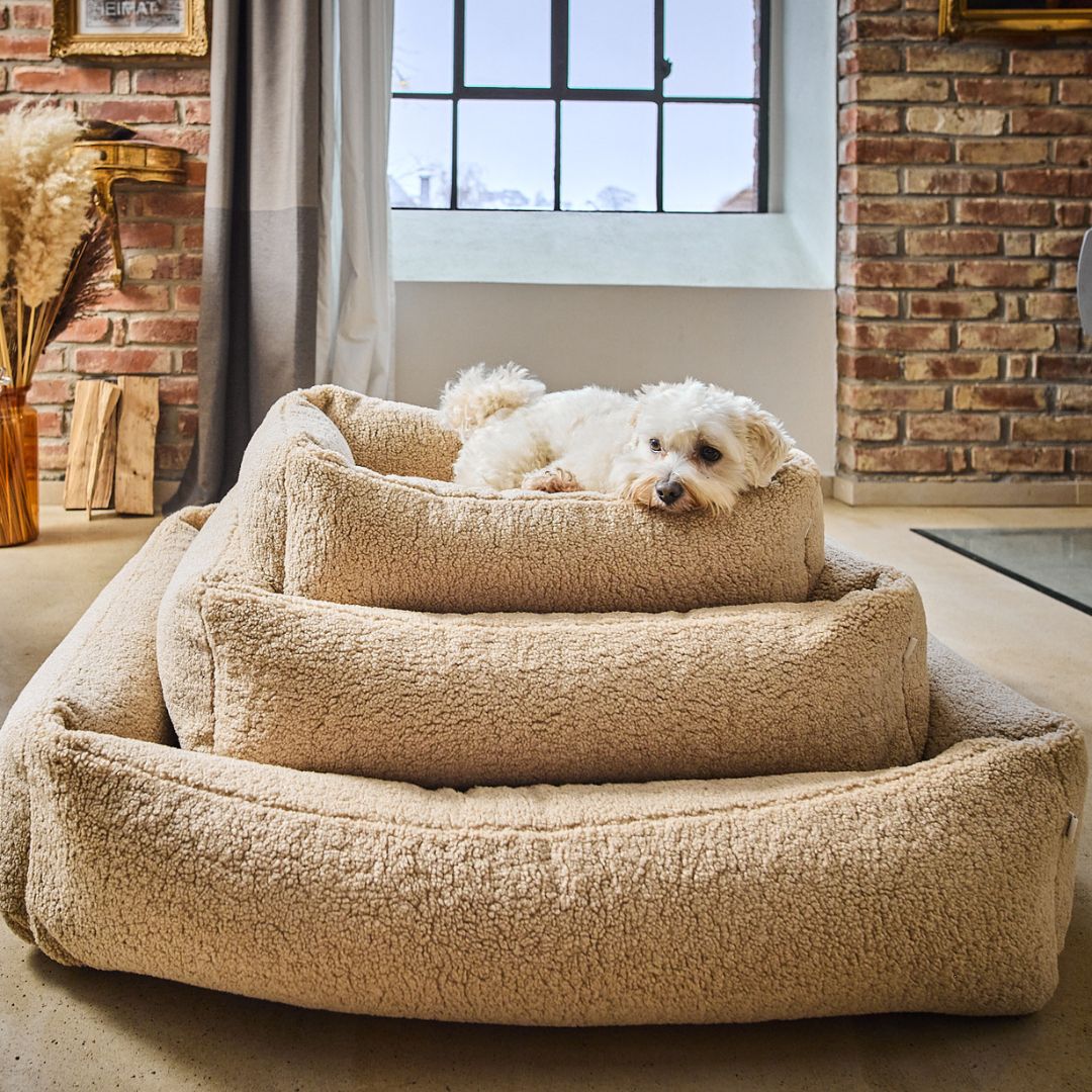 Hundebett Teddy Bouclé Ortho oder Classic Creme