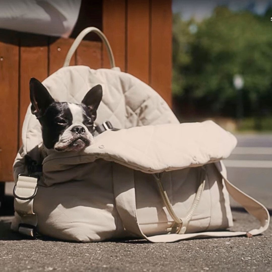 Hundeautositz-Hundetasche-Fuzzyard-Sandstone-Mood