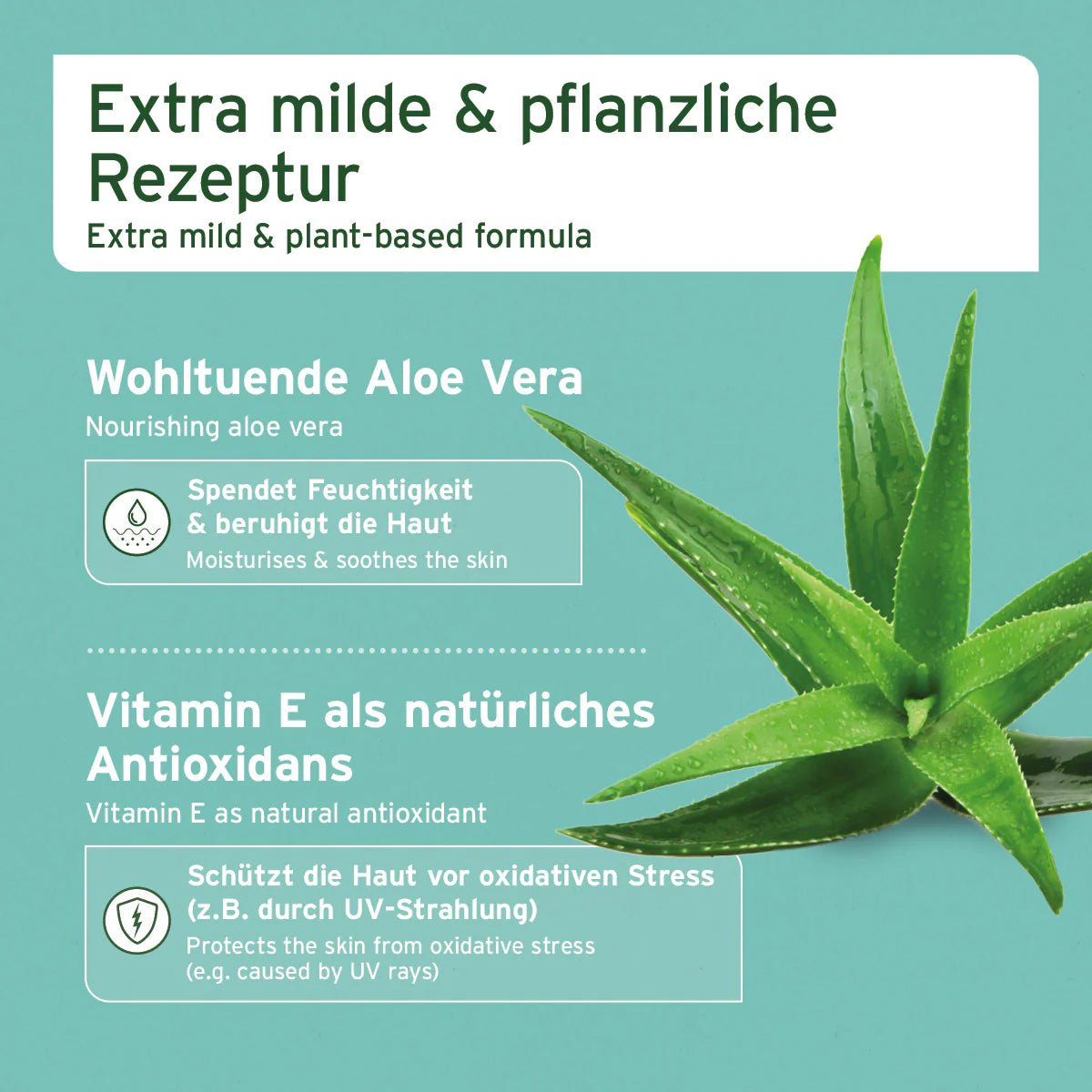 Aniforte-Augen-Reinigungspads-Inhalt