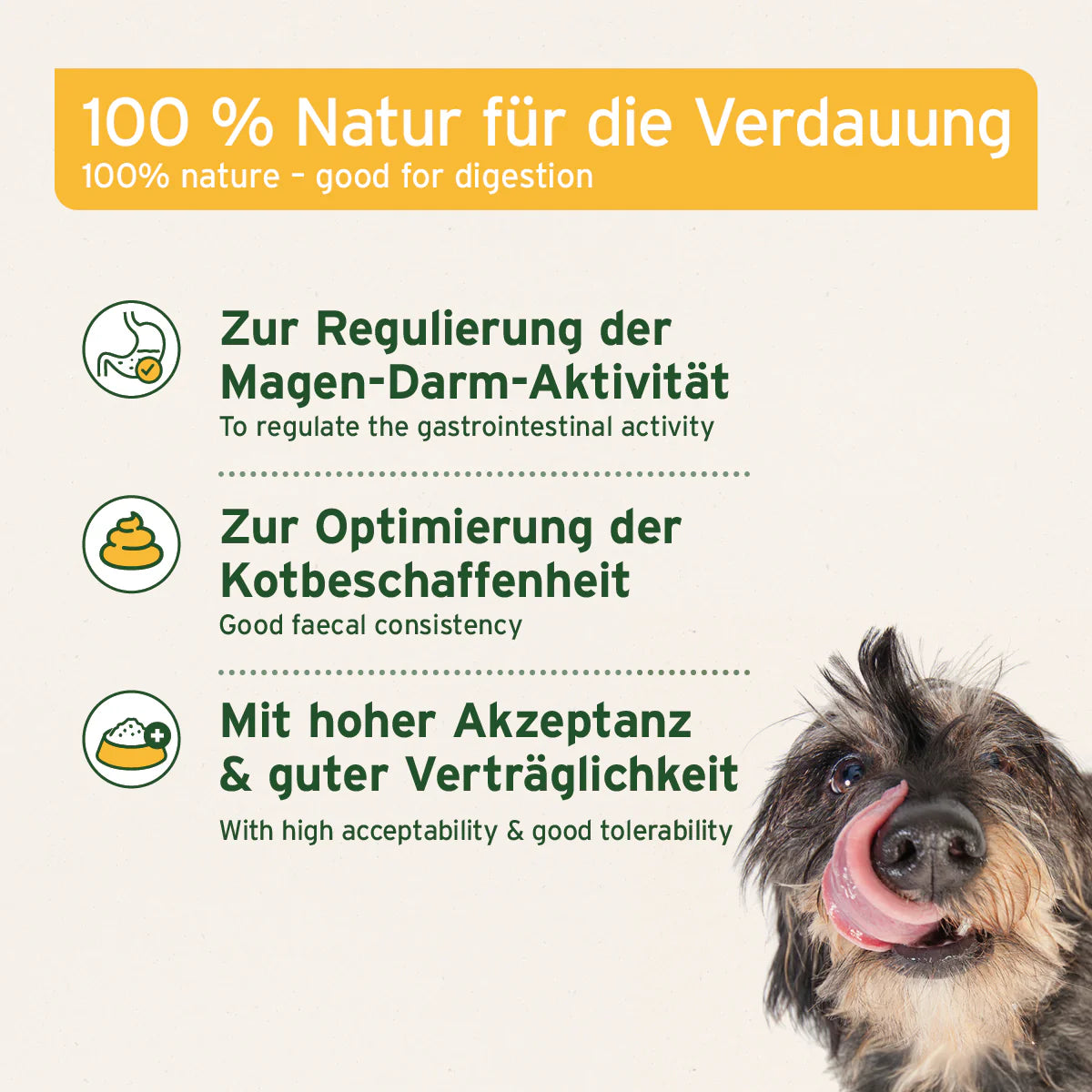 Aniforte-Heilmoor-Infos