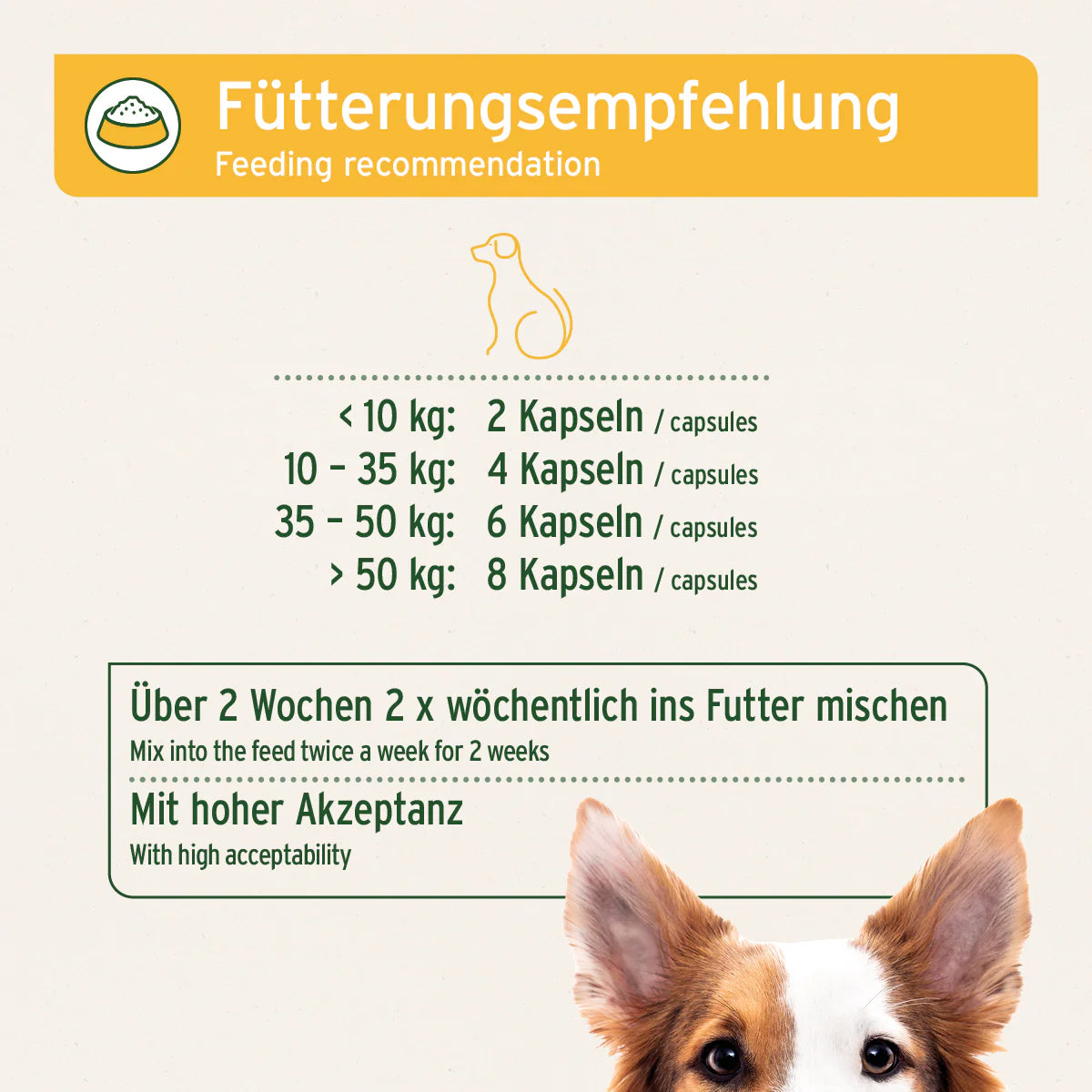 Aniforte-Wermix-Kapseln-Fütterung