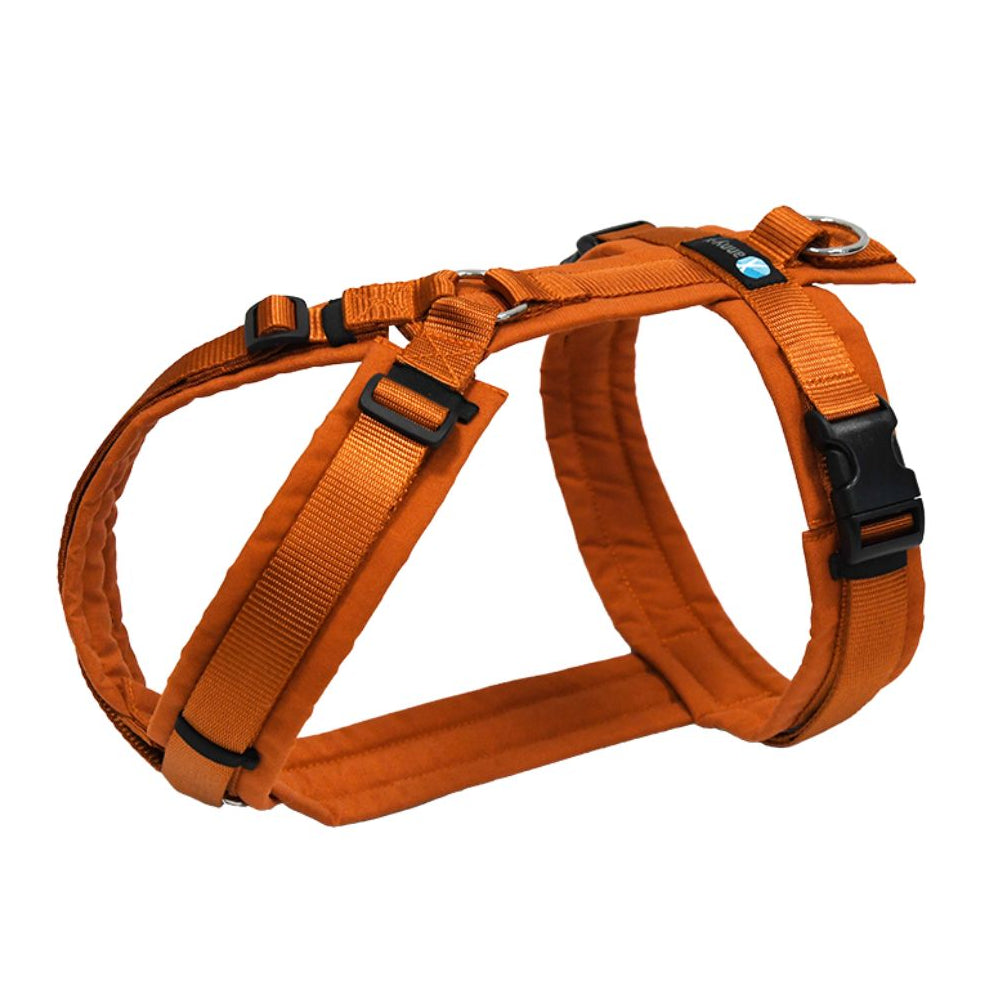 AnnyX-Hundegeschirr-Fun-Ahorn