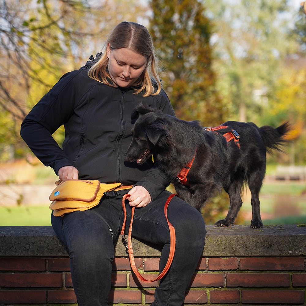 Annyx-Führleine-Classic-Bolt-Fun-Ahorn-Mood