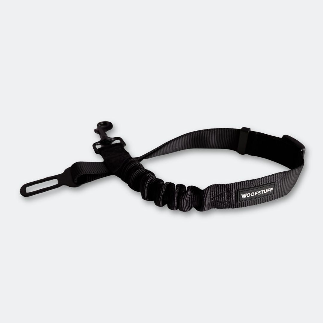 Auto-Sicherheitsgurt-Roadie-Expander