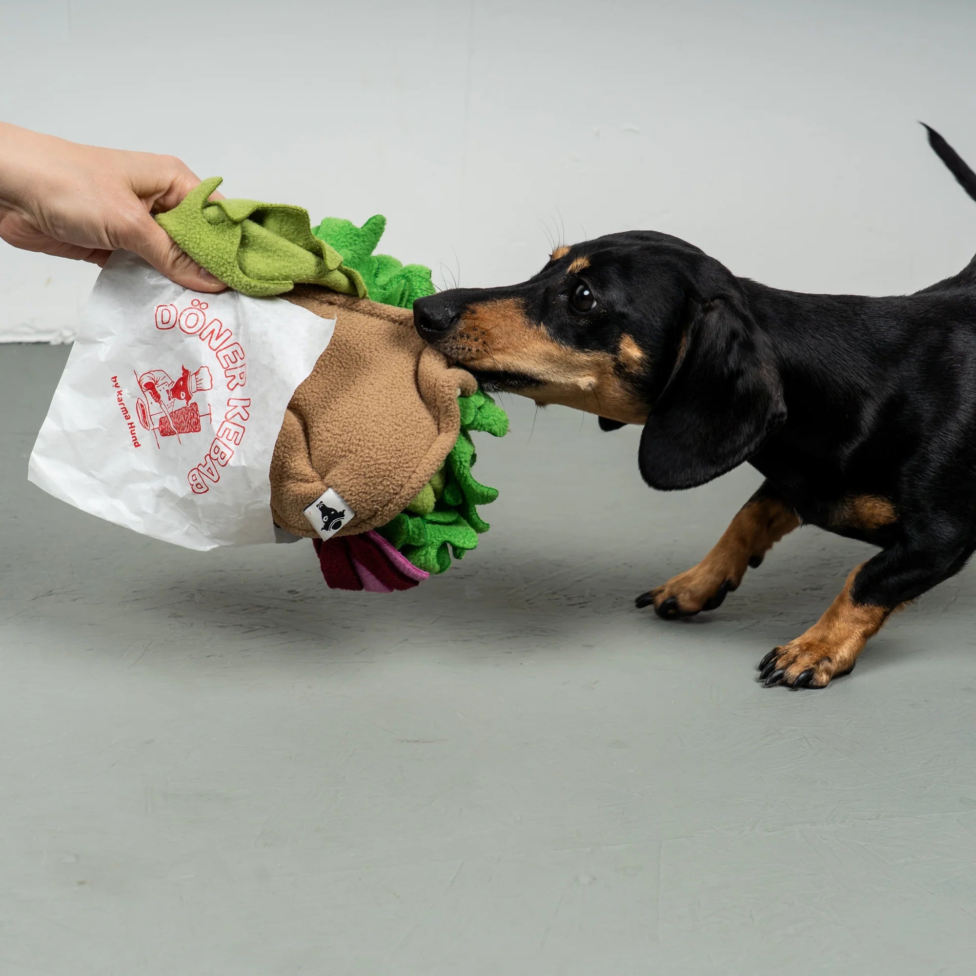 Schnüffelspielzeug Berliner Döner