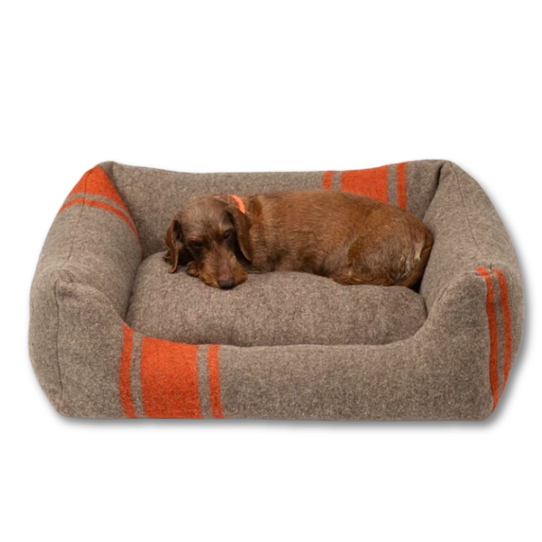 2.8-duepuntotto-Hundebett-Henri-recycelte-Wolle-Natur-Orange-Dackel2