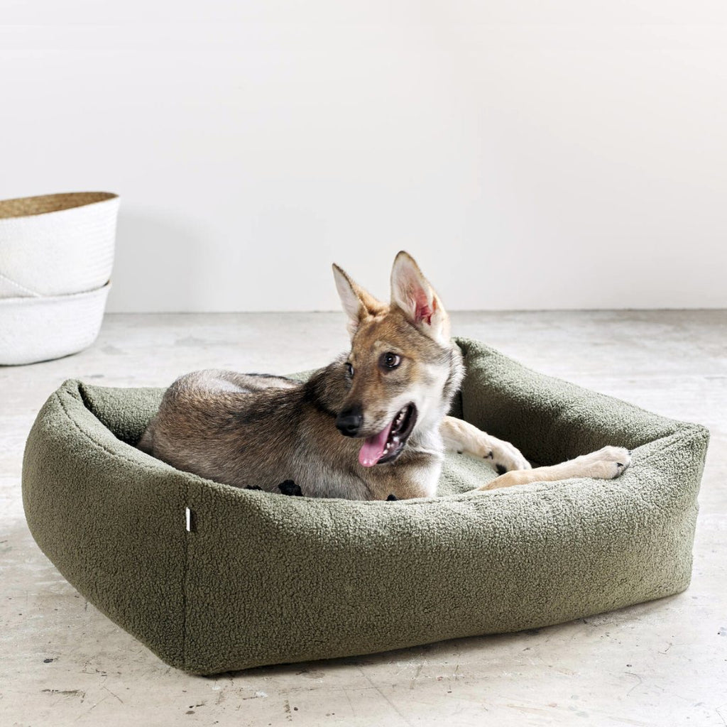 Hundebett - Teddy - Laboni - Green