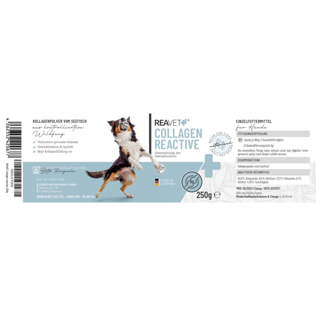 ReaVet-Collagen-Reactive-Etikett