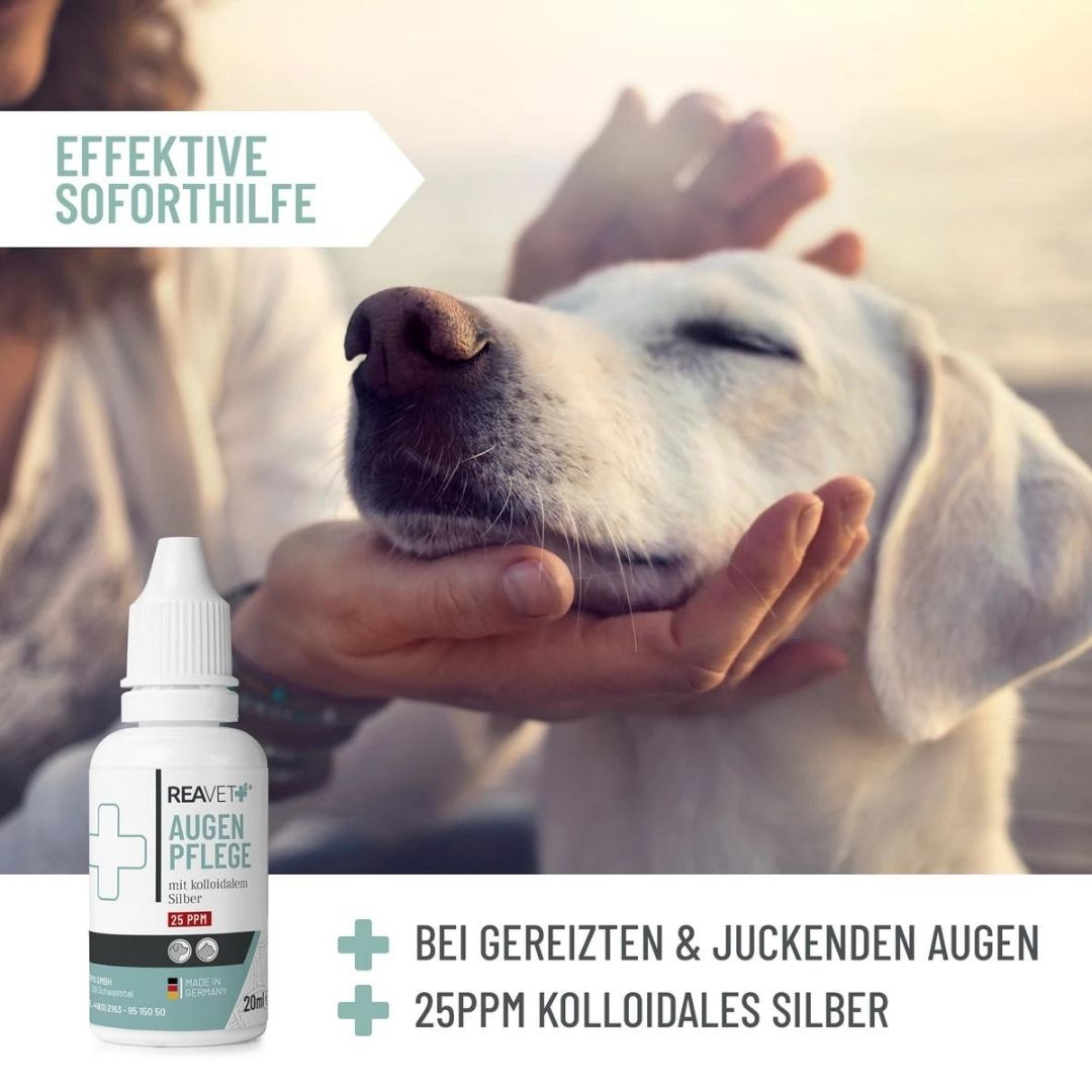 ReaVET-Augenpflege-Tropfen-kollodiales-Silber-Wirkung