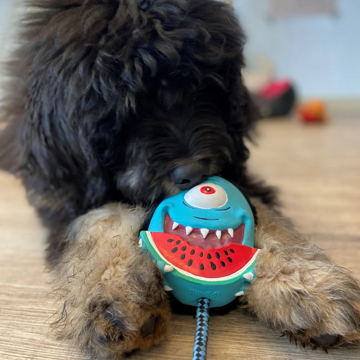 Hundespielzeug Bubba King