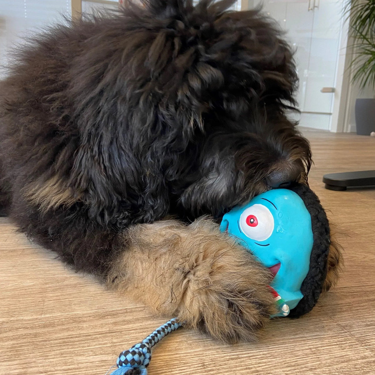 Hundespielzeug Bubba King