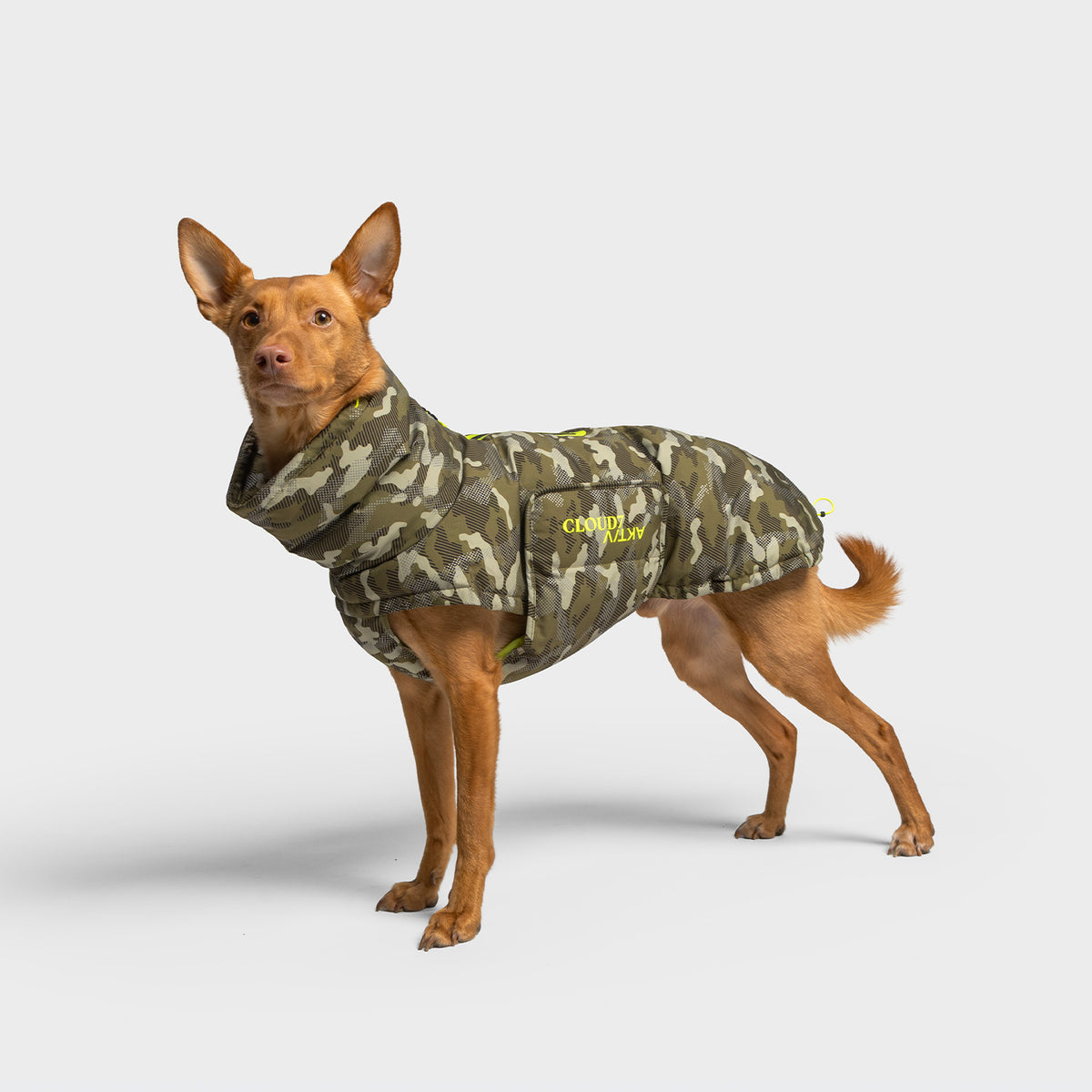 Hundemantel Alaska AKTIV Camo
