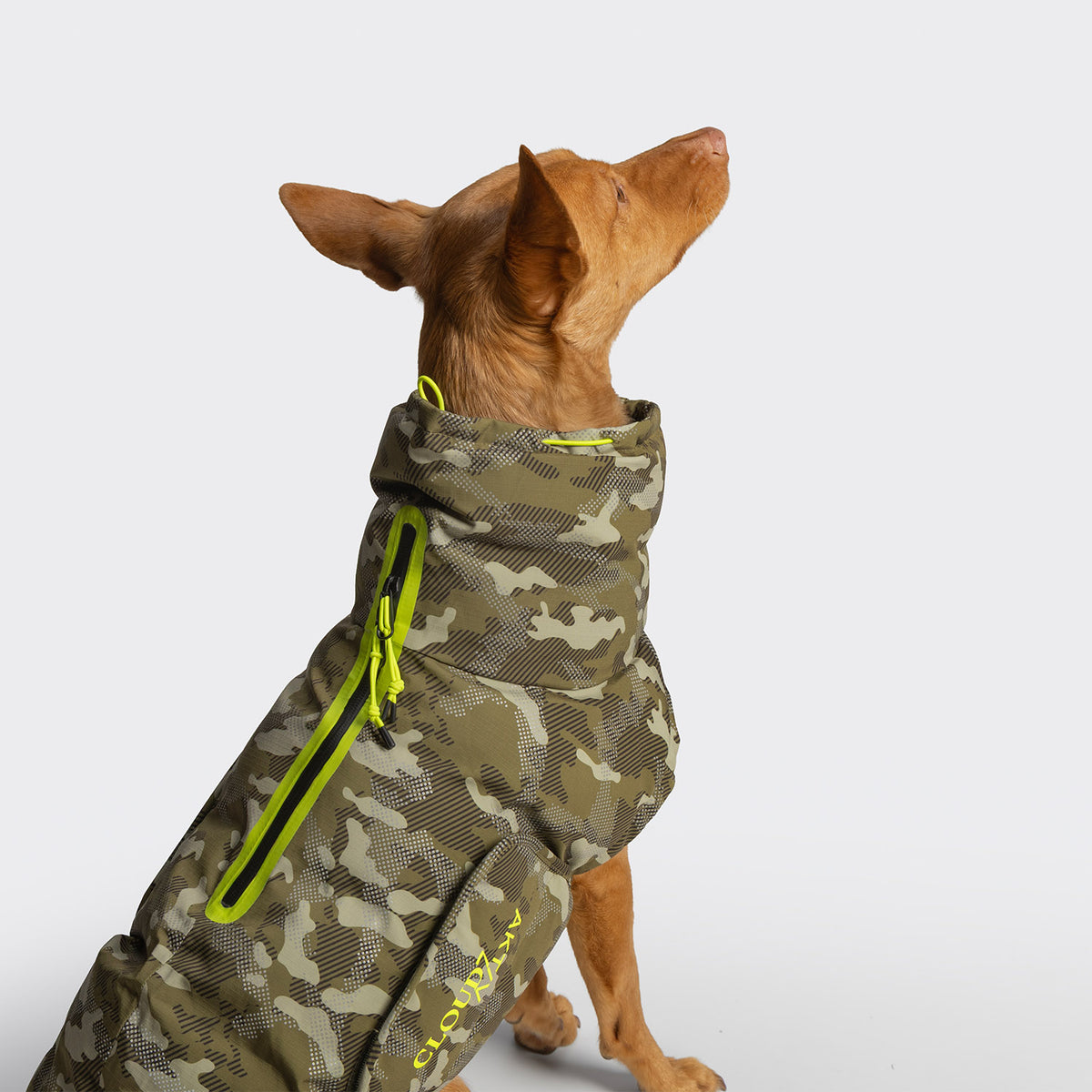 Hundemantel Alaska AKTIV Camo