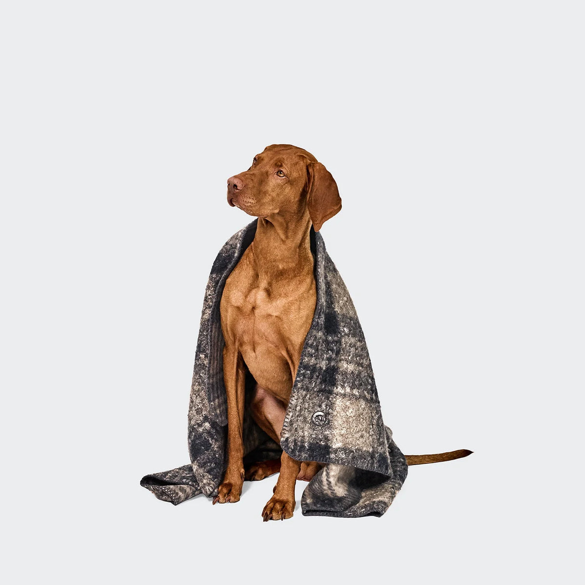 Hundedecke Bouclé Tartan